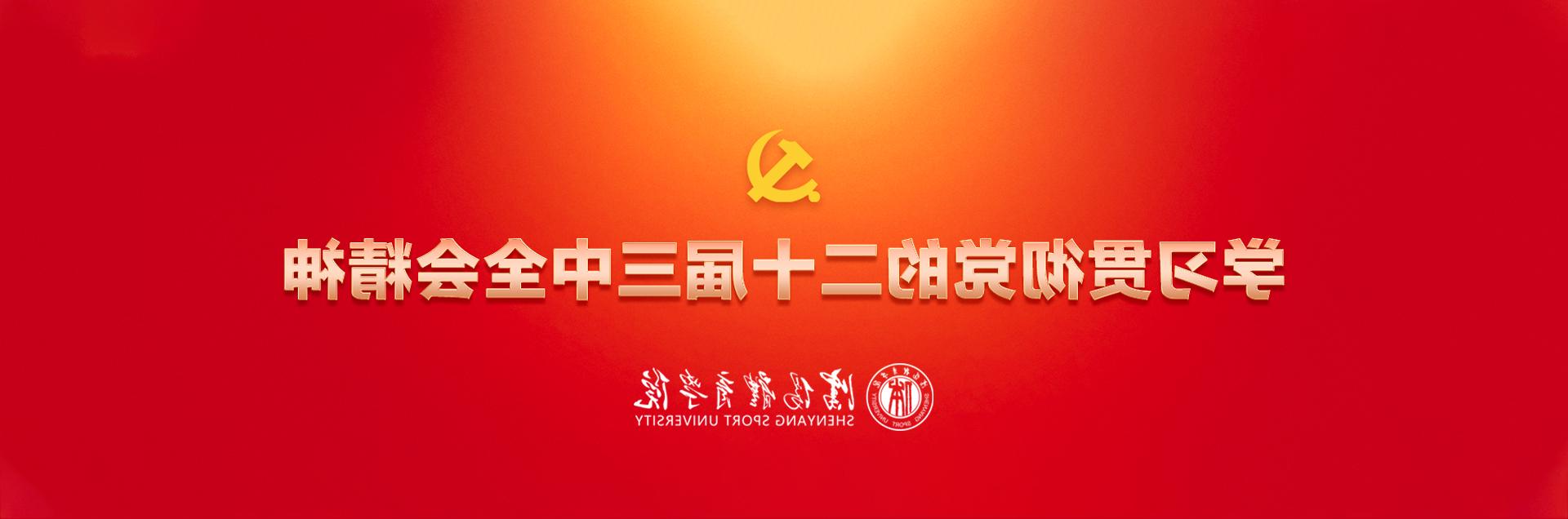 学习贯彻党的二十届三中全会精神